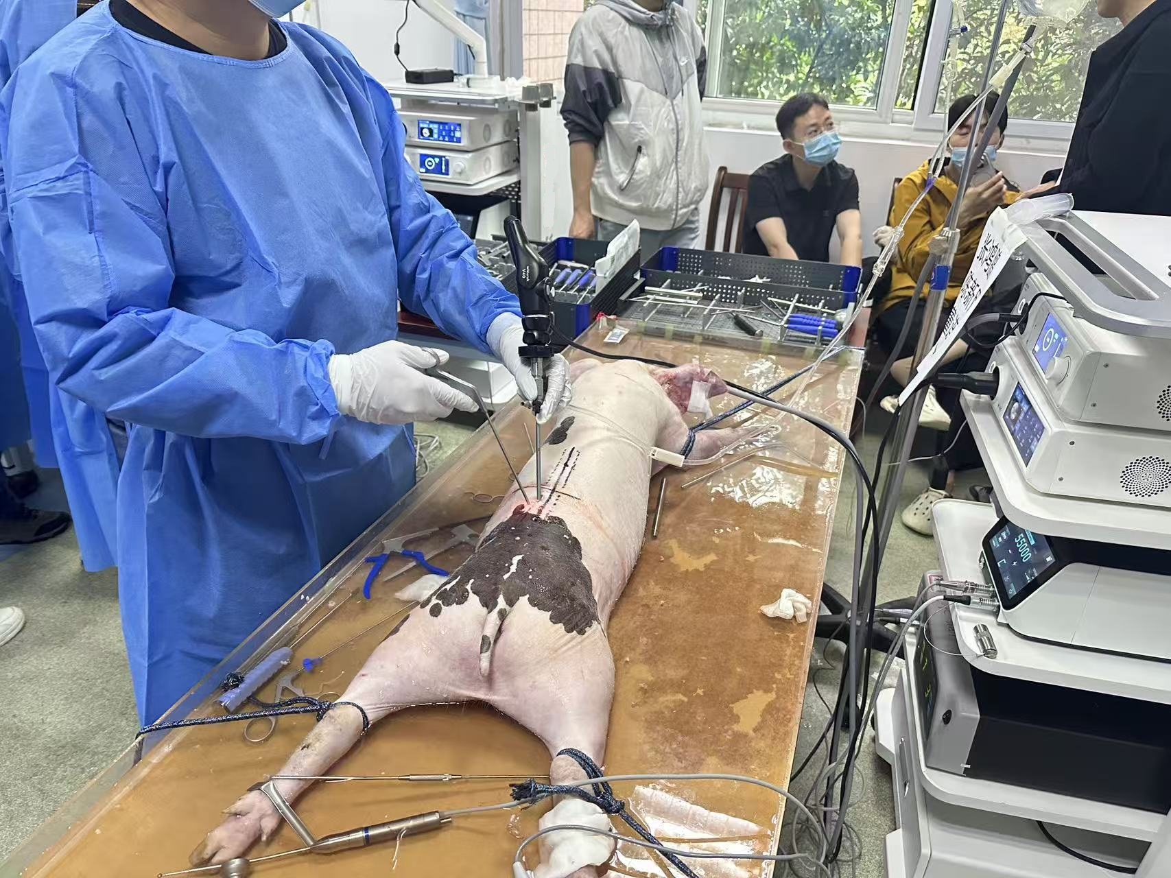 UBE外科實習訓練-安徽區